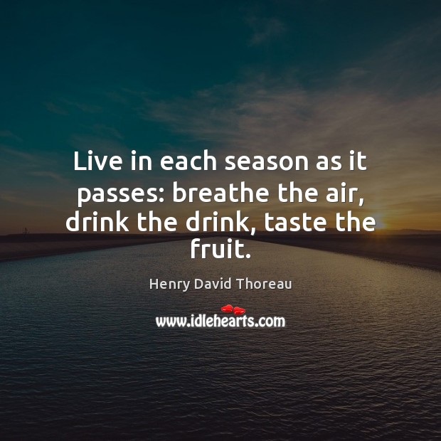 Live in each season as it passes: breathe the air, drink the drink, taste the fruit. Henry David Thoreau Picture Quote