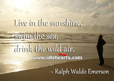 Live in the sunshine, swim the sea, drink the wild air. Image