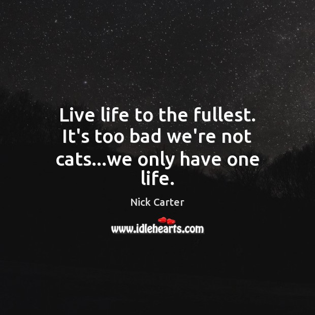 Live life to the fullest. It’s too bad we’re not cats…we only have one life. Image