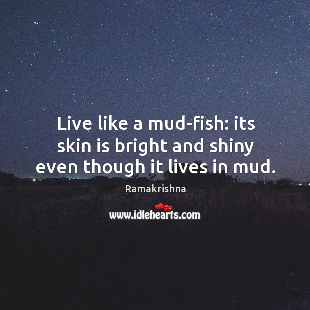 Live like a mud-fish: its skin is bright and shiny even though it lives in mud. Ramakrishna Picture Quote