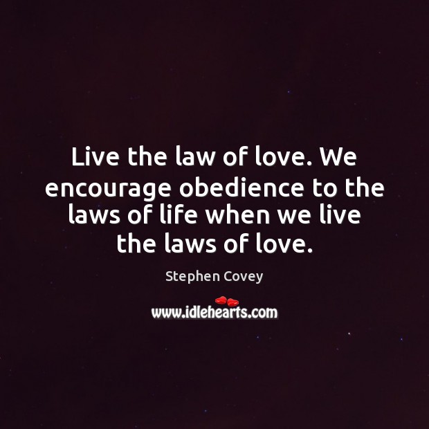 Live the law of love. We encourage obedience to the laws of Stephen Covey Picture Quote