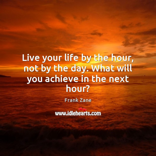 Live your life by the hour, not by the day. What will you achieve in the next hour? Frank Zane Picture Quote