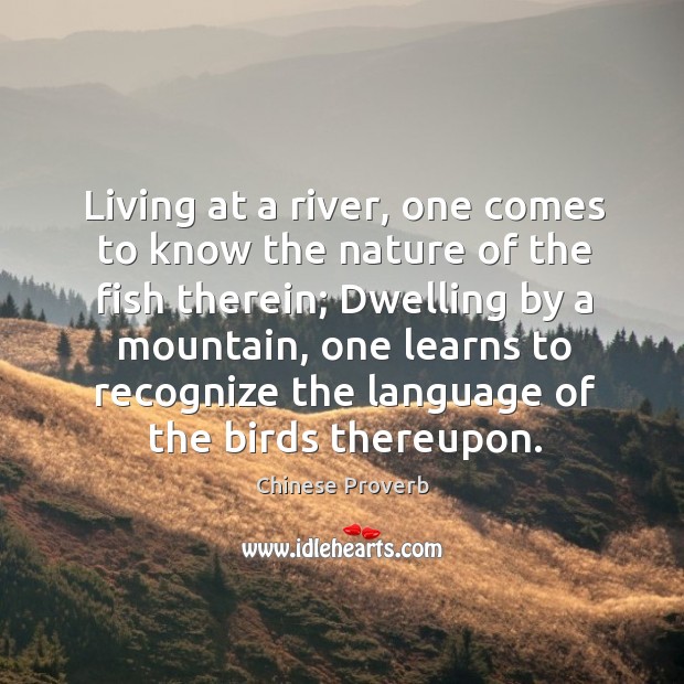 Living at a river, one comes to know the nature of the fish therein. Image