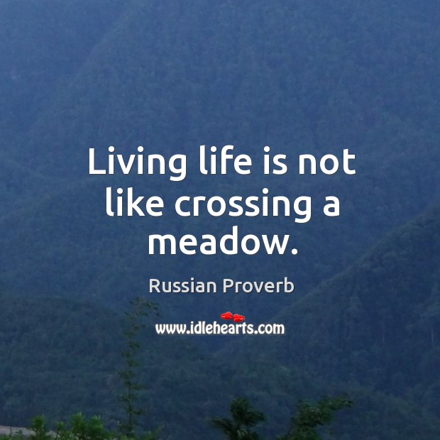 Living life is not like crossing a meadow. Russian Proverbs Image