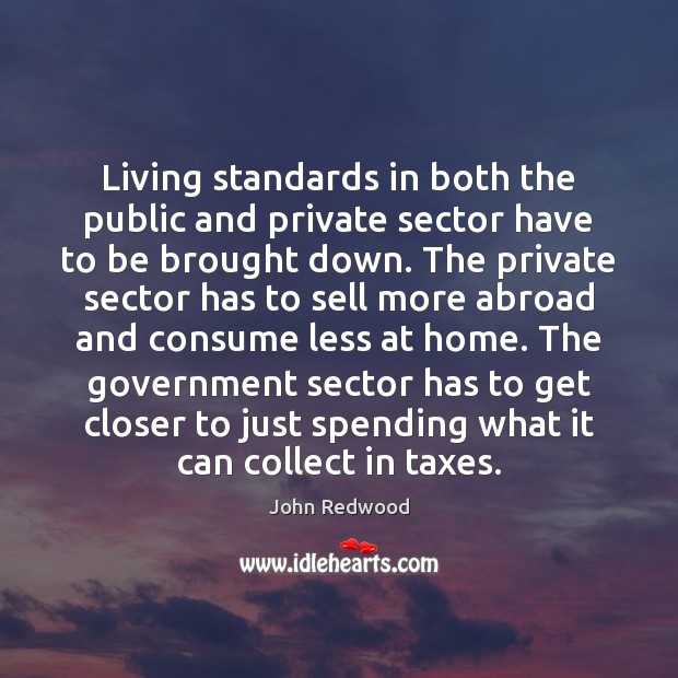 Living standards in both the public and private sector have to be John Redwood Picture Quote
