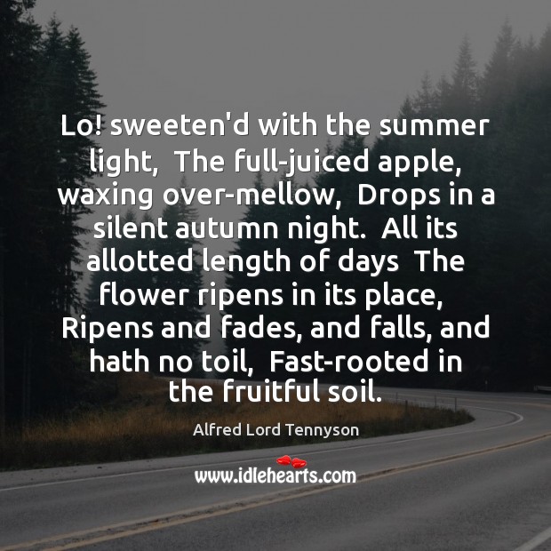 Lo! sweeten’d with the summer light,  The full-juiced apple, waxing over-mellow,  Drops Alfred Lord Tennyson Picture Quote