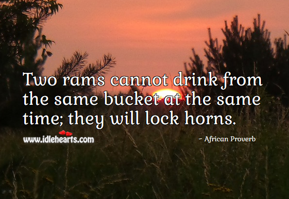 Two rams cannot drink from the same bucket at the same time; they will lock horns. African Proverbs Image