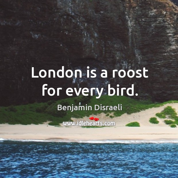 London is a roost for every bird. Benjamin Disraeli Picture Quote