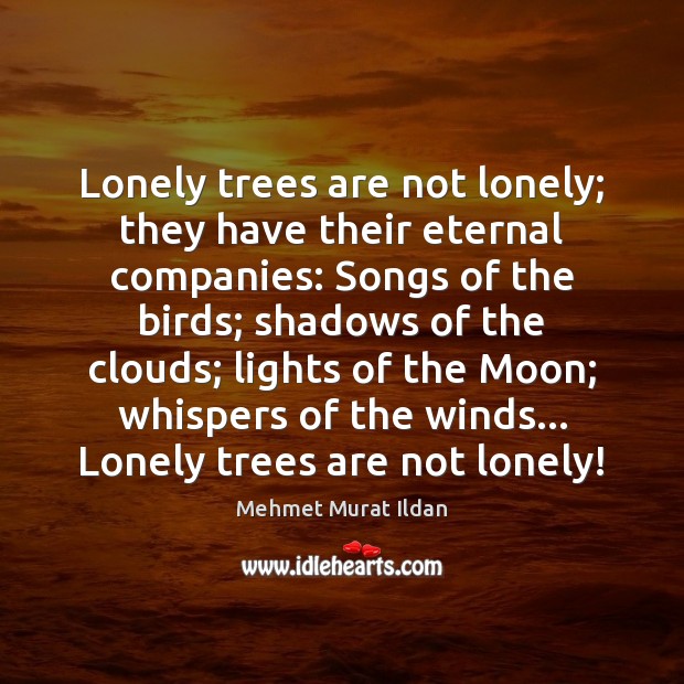 Lonely trees are not lonely; they have their eternal companies: Songs of Image