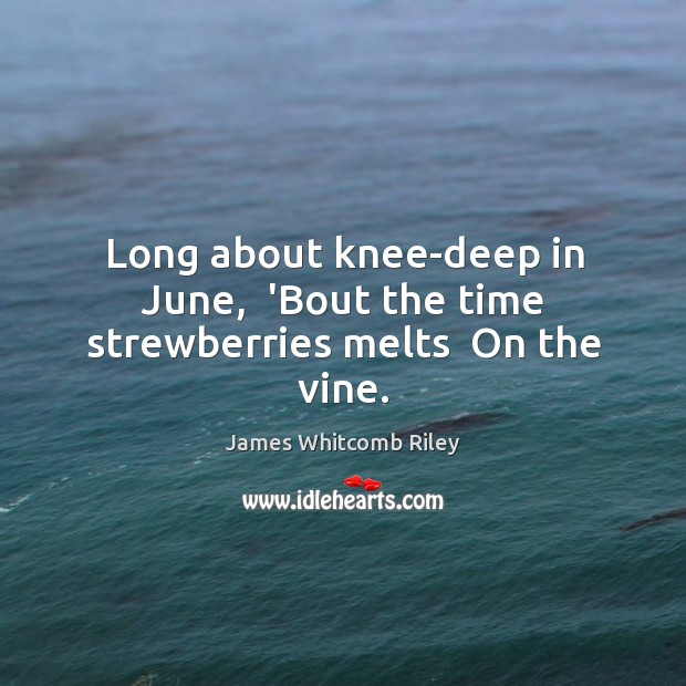 Long about knee-deep in June,  ‘Bout the time strewberries melts  On the vine. James Whitcomb Riley Picture Quote