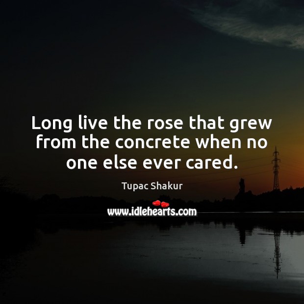 Long live the rose that grew from the concrete when no one else ever cared. Tupac Shakur Picture Quote