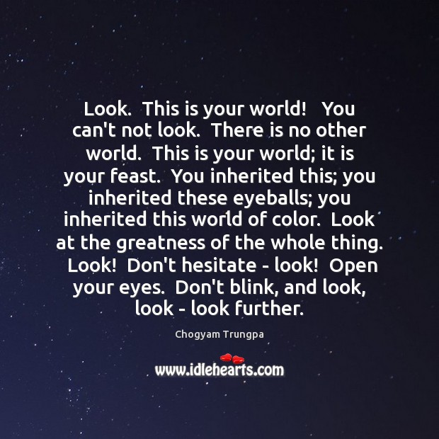 Look.  This is your world!   You can’t not look.  There is no Chogyam Trungpa Picture Quote