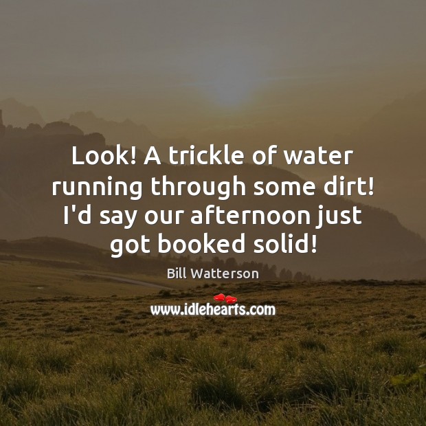 Look! A trickle of water running through some dirt! I’d say our Bill Watterson Picture Quote