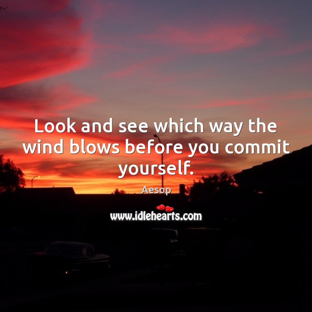 Look and see which way the wind blows before you commit yourself. Aesop Picture Quote