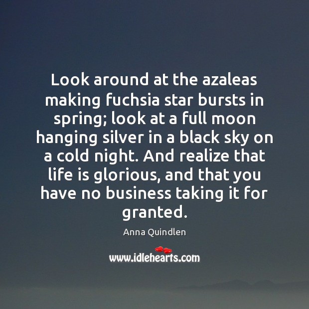 Look around at the azaleas making fuchsia star bursts in spring; look Anna Quindlen Picture Quote