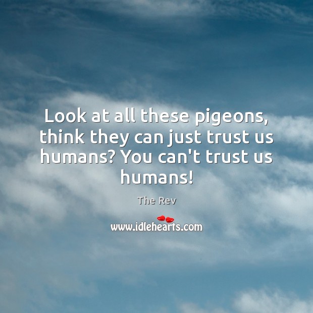 Look at all these pigeons, think they can just trust us humans? You can’t trust us humans! The Rev Picture Quote