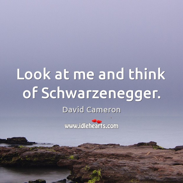 Look at me and think of Schwarzenegger. David Cameron Picture Quote