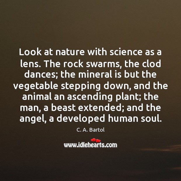 Look at nature with science as a lens. The rock swarms, the C. A. Bartol Picture Quote