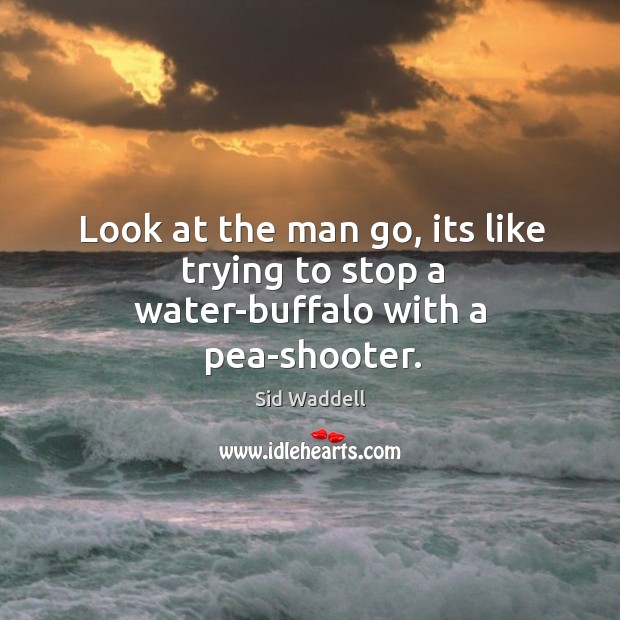 Look at the man go, its like trying to stop a water-buffalo with a pea-shooter. Water Quotes Image