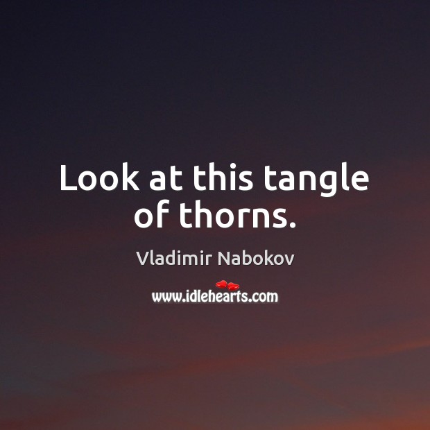 Look at this tangle of thorns. Vladimir Nabokov Picture Quote