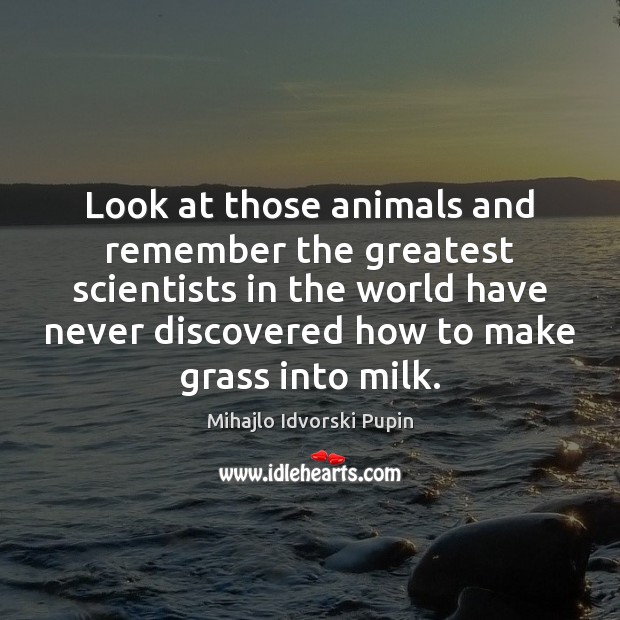 Look at those animals and remember the greatest scientists in the world Mihajlo Idvorski Pupin Picture Quote