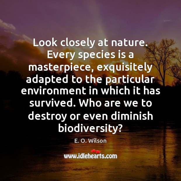 Look closely at nature. Every species is a masterpiece, exquisitely adapted to E. O. Wilson Picture Quote