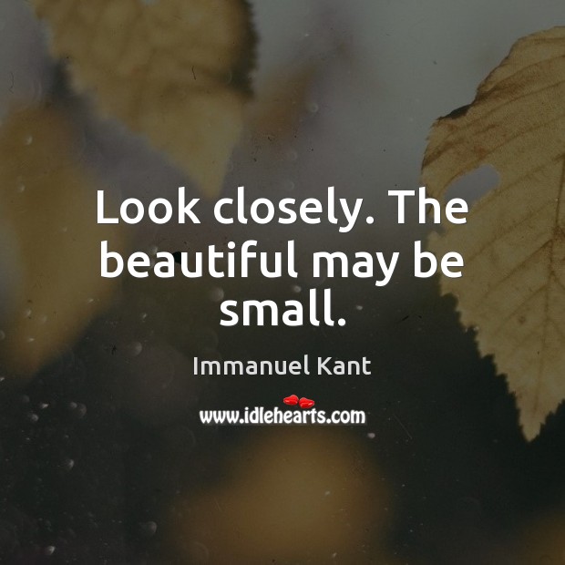 Look closely. The beautiful may be small. Immanuel Kant Picture Quote