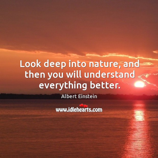 Look deep into nature, and then you will understand everything better. Image