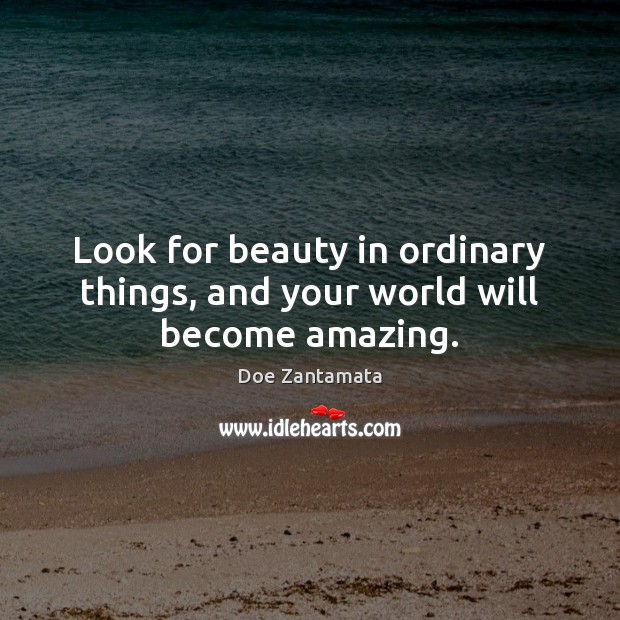 Look for beauty in ordinary things. Image