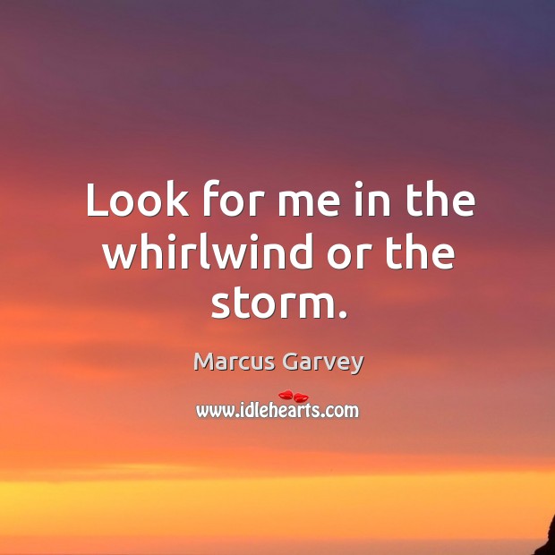 Look for me in the whirlwind or the storm. Marcus Garvey Picture Quote