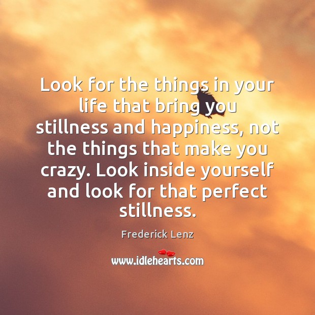 Look for the things in your life that bring you stillness and Frederick Lenz Picture Quote