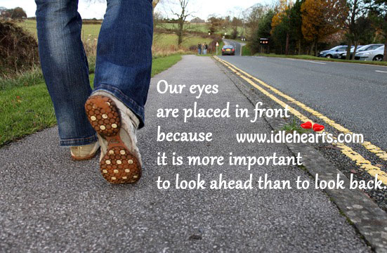 Eyes are in front to look ahead, not backwards Picture Quotes Image