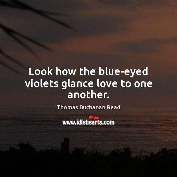 Look how the blue-eyed violets glance love to one another. Image