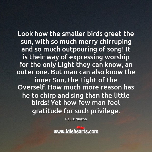 Look how the smaller birds greet the sun, with so much merry Paul Brunton Picture Quote