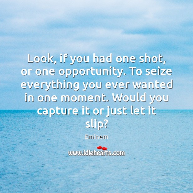 Look, if you had one shot, or one opportunity. To seize everything Opportunity Quotes Image