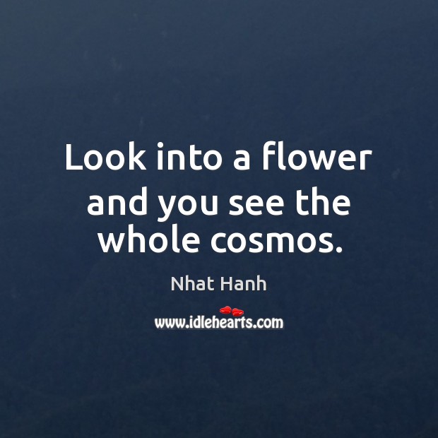 Look into a flower and you see the whole cosmos. Nhat Hanh Picture Quote