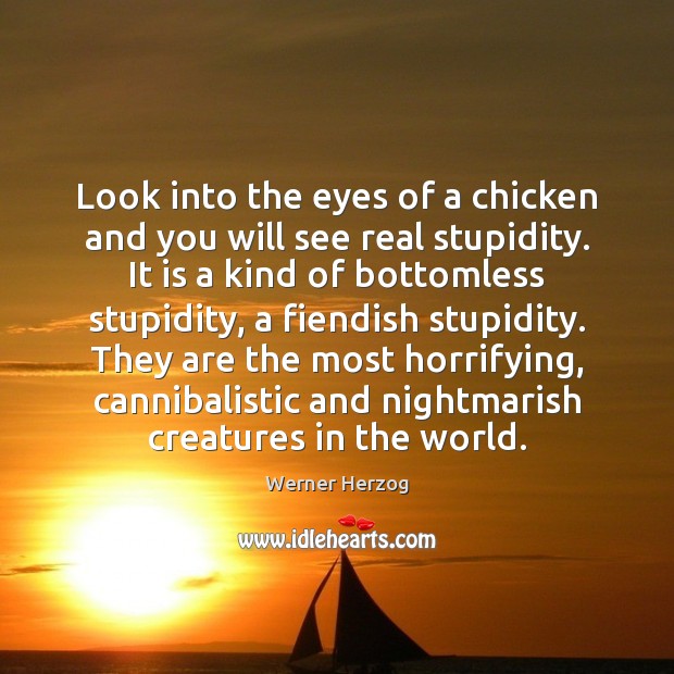 Look into the eyes of a chicken and you will see real Werner Herzog Picture Quote