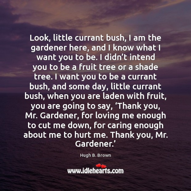 Look, little currant bush, I am the gardener here, and I know Hugh B. Brown Picture Quote