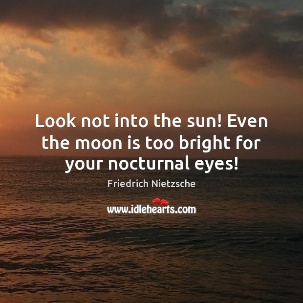 Look not into the sun! Even the moon is too bright for your nocturnal eyes! Friedrich Nietzsche Picture Quote