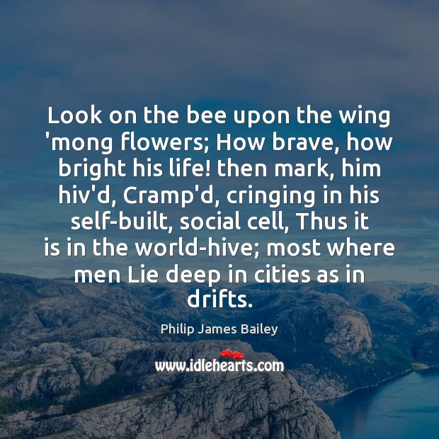 Look on the bee upon the wing ‘mong flowers; How brave, how Philip James Bailey Picture Quote