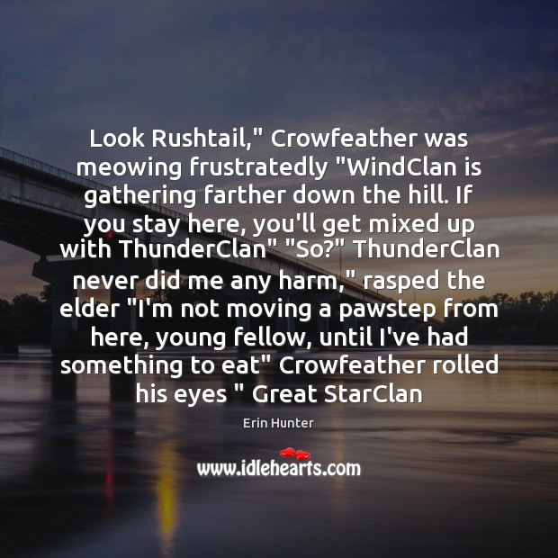 Look Rushtail,” Crowfeather was meowing frustratedly “WindClan is gathering farther down the Erin Hunter Picture Quote