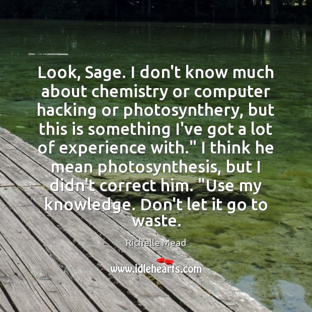 Look, Sage. I don’t know much about chemistry or computer hacking or Image