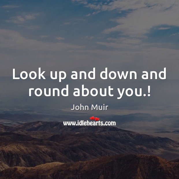 Look up and down and round about you.! John Muir Picture Quote