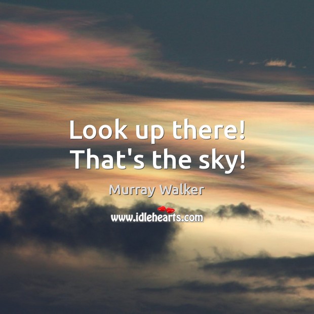 Look up there! That’s the sky! Murray Walker Picture Quote