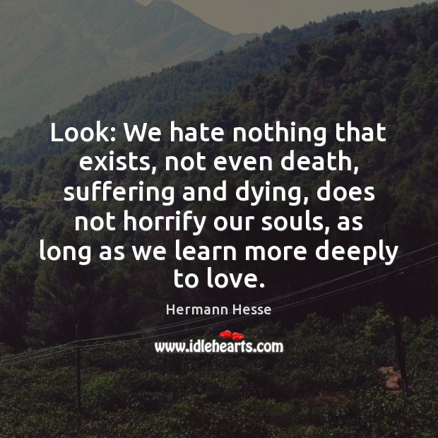 Look: We hate nothing that exists, not even death, suffering and dying, Image