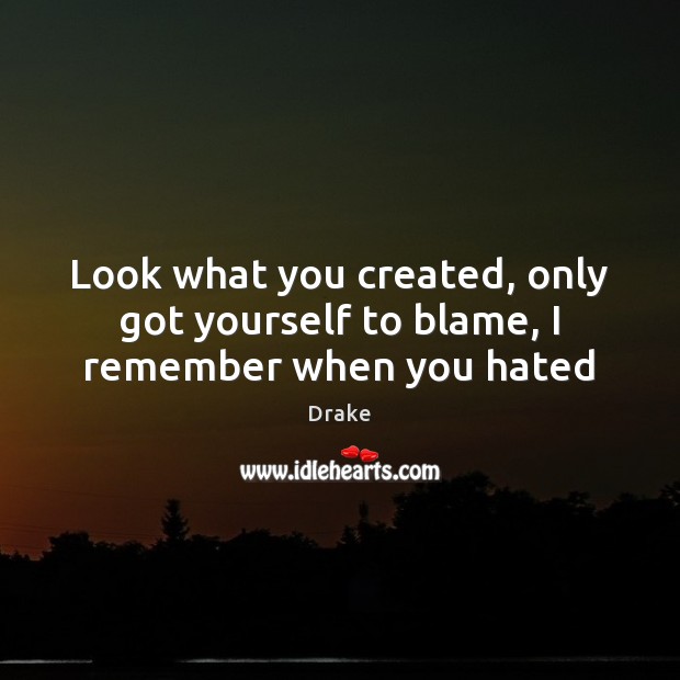 Look what you created, only got yourself to blame, I remember when you hated Drake Picture Quote