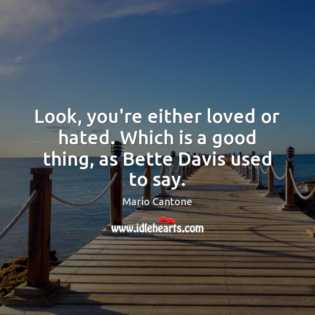 Look, you’re either loved or hated. Which is a good thing, as Bette Davis used to say. Image
