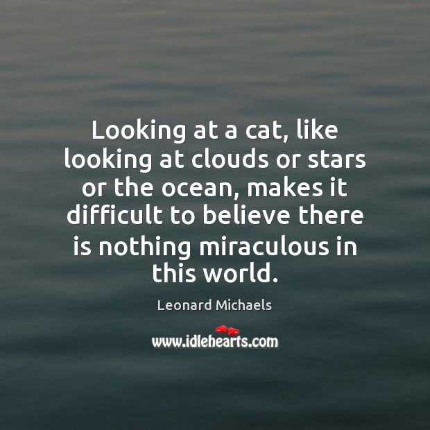 Looking at a cat, like looking at clouds or stars or the Leonard Michaels Picture Quote