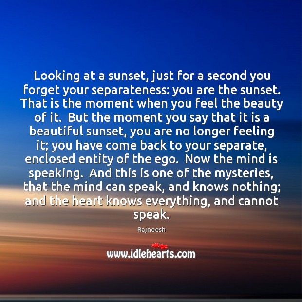 Looking at a sunset, just for a second you forget your separateness: Image