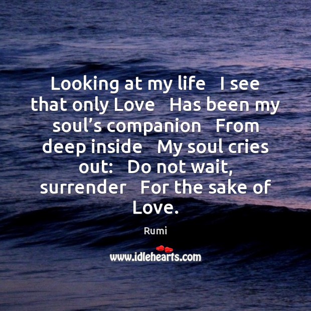 Looking at my life   I see that only Love   Has been my Rumi Picture Quote